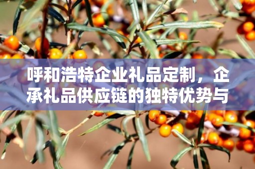 呼和浩特企业礼品定制，企承礼品供应链的独特优势与定制之旅