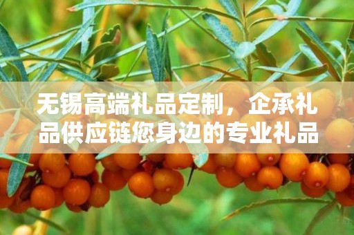 无锡高端礼品定制，企承礼品供应链您身边的专业礼品定制公司