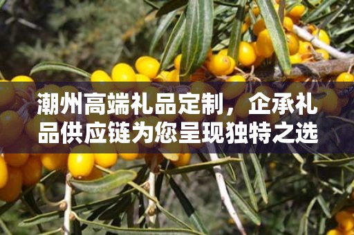 潮州高端礼品定制，企承礼品供应链为您呈现独特之选