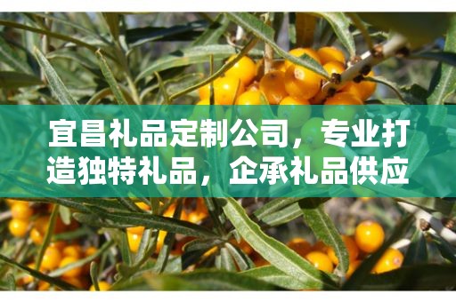 宜昌礼品定制公司，专业打造独特礼品，企承礼品供应链引领行业前沿