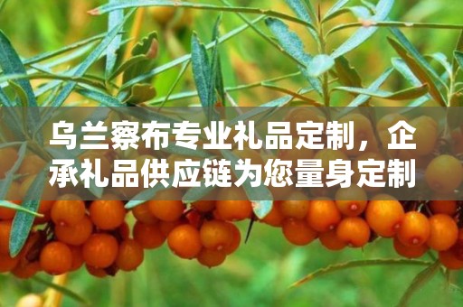 乌兰察布专业礼品定制，企承礼品供应链为您量身定制专属礼品