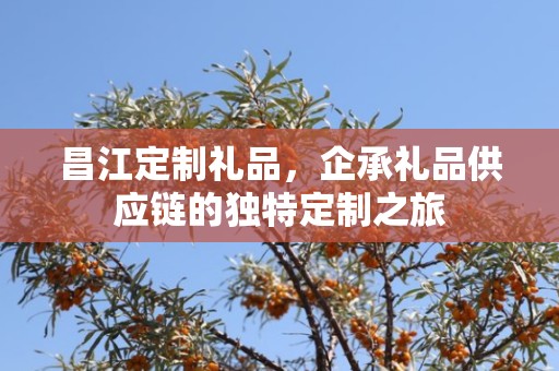 昌江定制礼品，企承礼品供应链的独特定制之旅