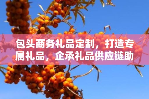 包头商务礼品定制，打造专属礼品，企承礼品供应链助力商务往来