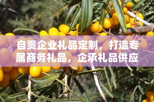 自贡企业礼品定制，打造专属商务礼品，企承礼品供应链助力企业发展