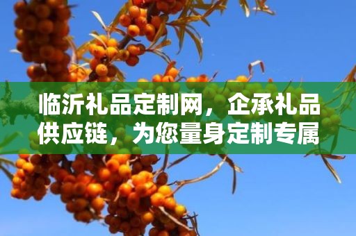 临沂礼品定制网，企承礼品供应链，为您量身定制专属礼品