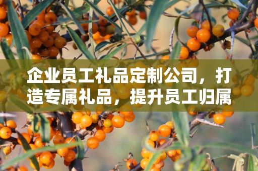企业员工礼品定制公司，打造专属礼品，提升员工归属感