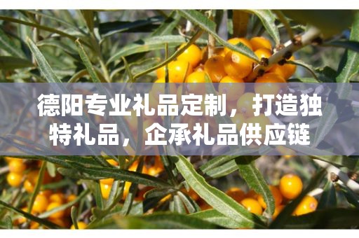 德阳专业礼品定制，打造独特礼品，企承礼品供应链