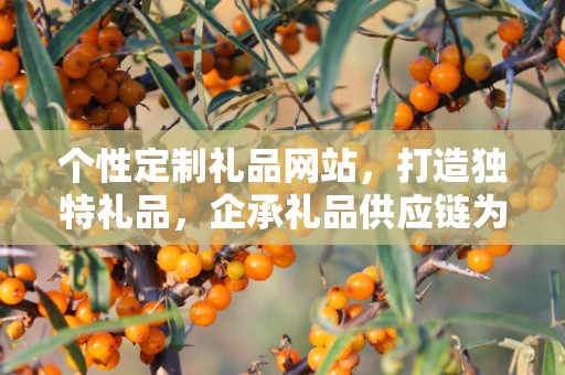 个性定制礼品网站，打造独特礼品，企承礼品供应链为您助力