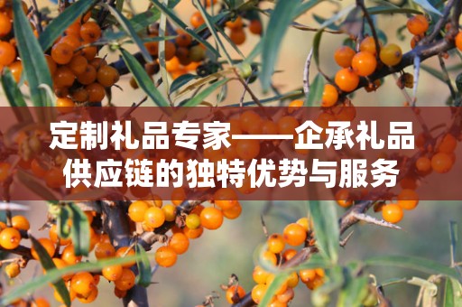 定制礼品专家——企承礼品供应链的独特优势与服务
