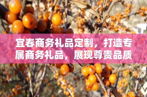 宜春商务礼品定制，打造专属商务礼品，展现尊贵品质