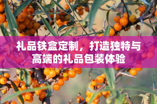 礼品铁盒定制，打造独特与高端的礼品包装体验